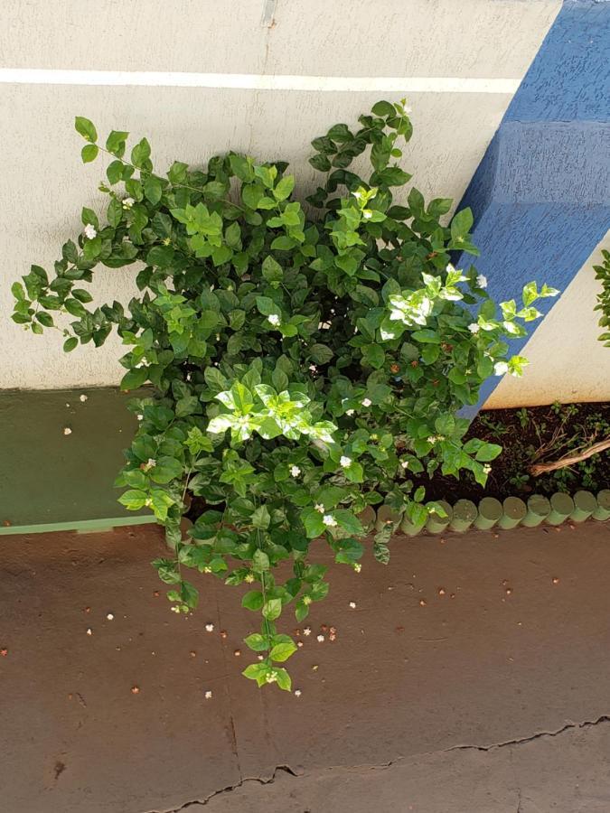 Hotel Flamboia Araraquara Dış mekan fotoğraf
