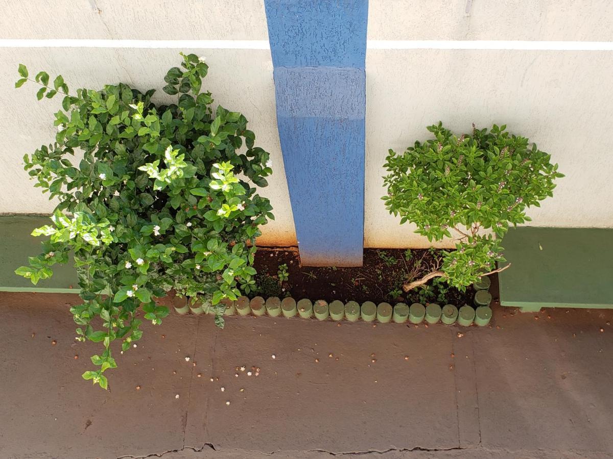 Hotel Flamboia Araraquara Dış mekan fotoğraf